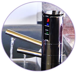 delphi water inonizer, delphi ionizer, delphi by emco